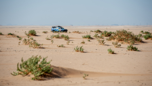 founder-Dakar-Press-Team