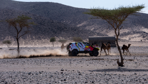 founder-Dakar-Press-Team