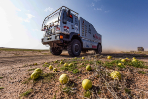 Dakar-Press-Team-Australia---Owner-Dakar-Press-Team-Australia---Own