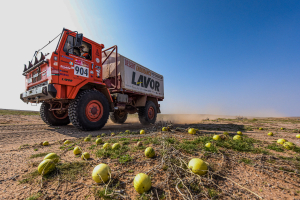 Dakar-Press-Team-Australia---Owner-Dakar-Press-Team-Australia---Own
